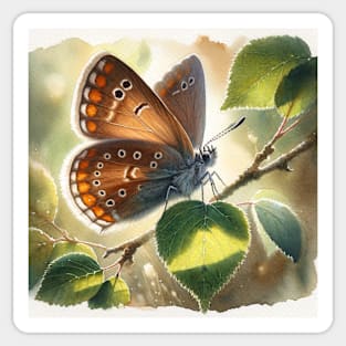 Brown Hairstreak - Watercolor Butterfly Sticker